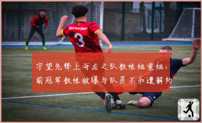 守望先锋上海龙之队教练组重组,前冠军教练被曝与队员不和遭解约