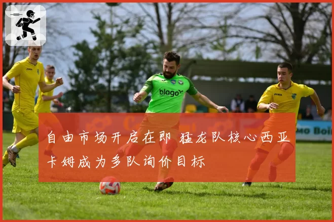 自由市场开启在即 猛龙队核心西亚卡姆成为多队询价目标