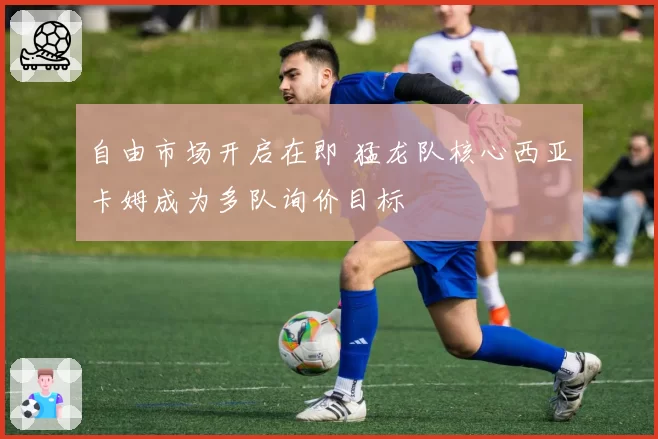 自由市场开启在即 猛龙队核心西亚卡姆成为多队询价目标