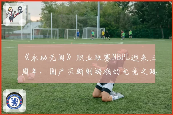 《永劫无间》职业联赛NBPL迎来三周年,国产买断制游戏的电竞之路能否走通?