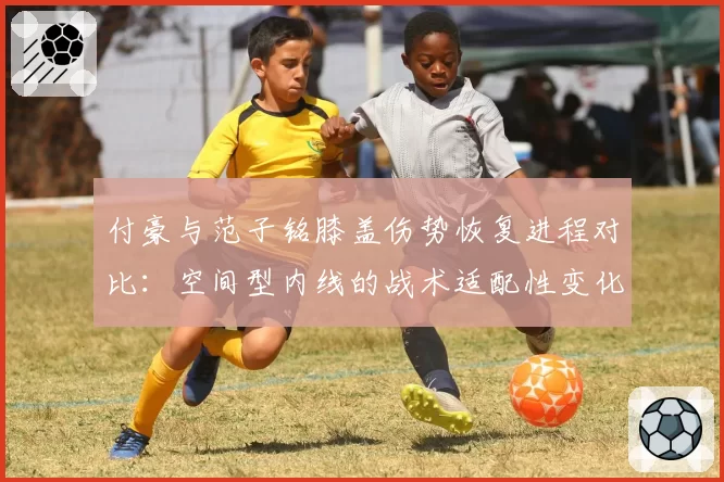 付豪与范子铭膝盖伤势恢复进程对比：空间型内线的战术适配性变化