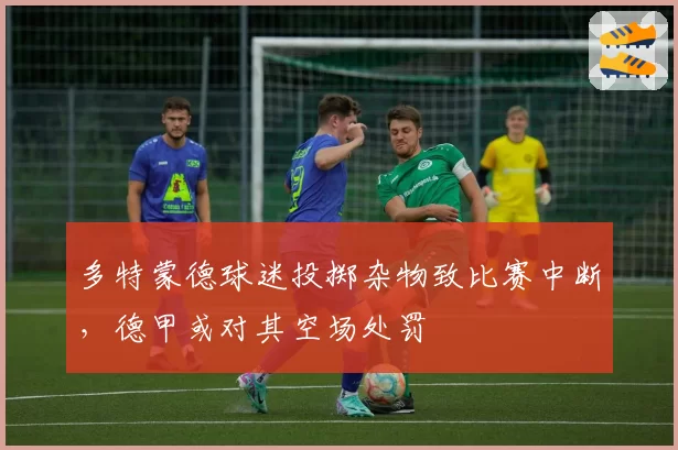 多特蒙德球迷投掷杂物致比赛中断，德甲或对其空场处罚