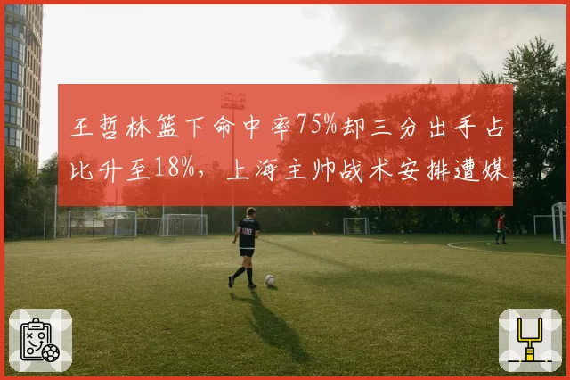 王哲林篮下命中率75%却三分出手占比升至18%，上海主帅战术安排遭媒体人炮轰
